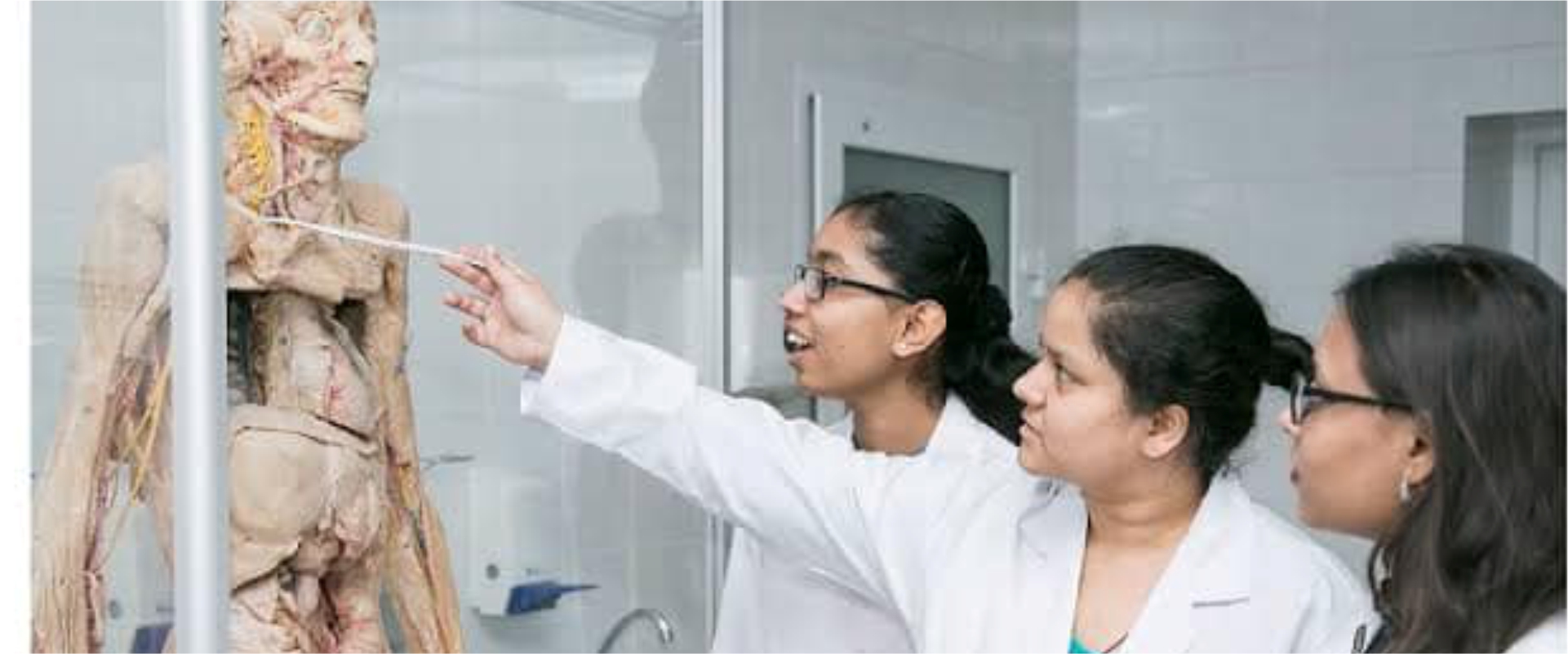 Immanuel Kant Baltic Federal University