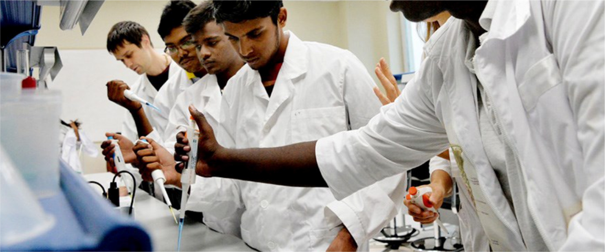 Far Eastern Federal University