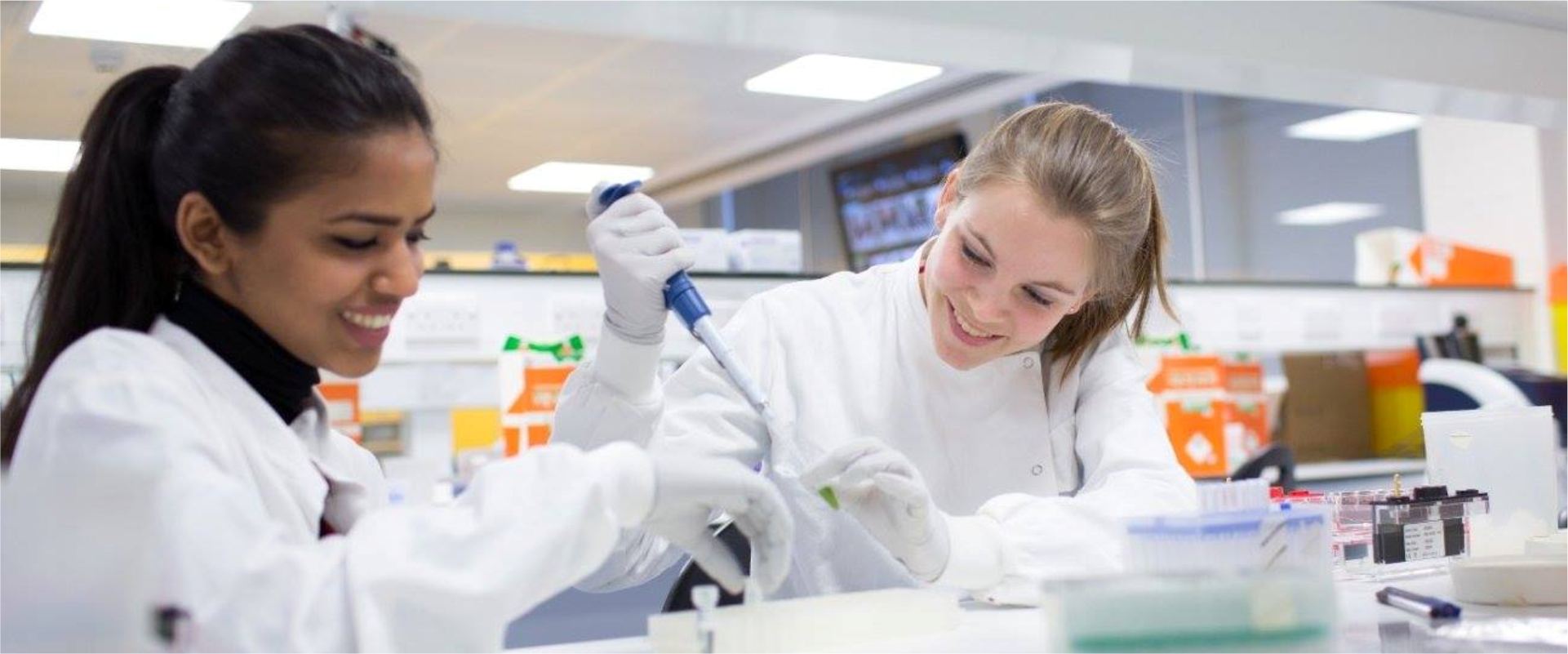 Chechen State University