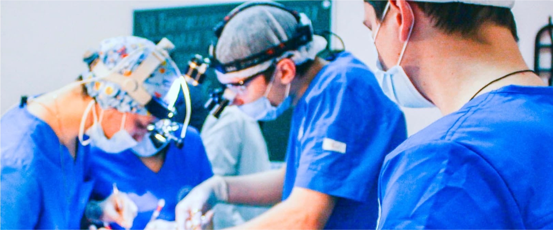 Petrozavodsk State University