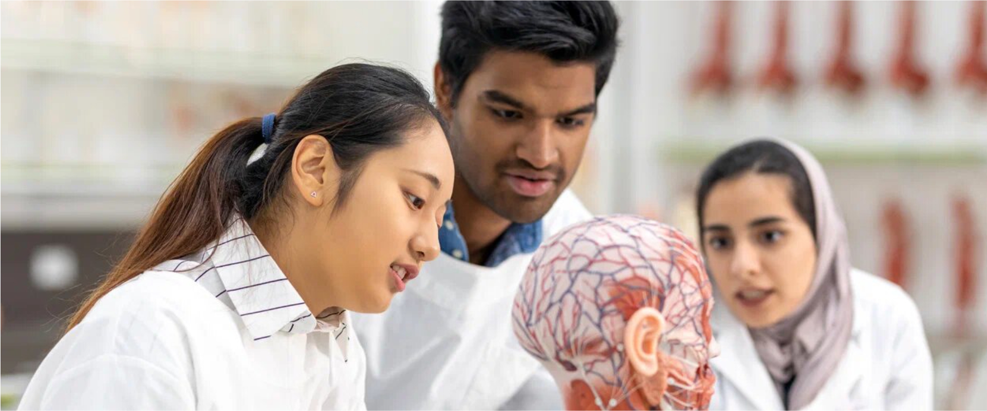 Volgograd State Medical University